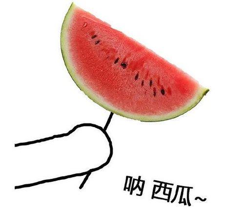 今日鲜瓜,尽享今日鲜瓜美味时光