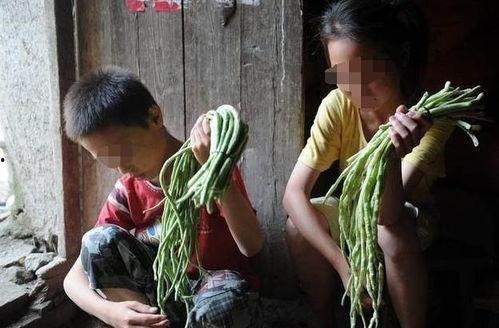 海角姐弟吃瓜黑料,揭秘娱乐圈黑料风波