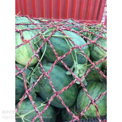 开封地爬瓜今日价格,市场行情一览