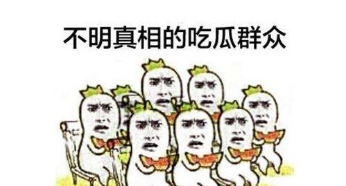 吃瓜群众不吹不黑图片,吃瓜群众眼中的不吹不黑图鉴