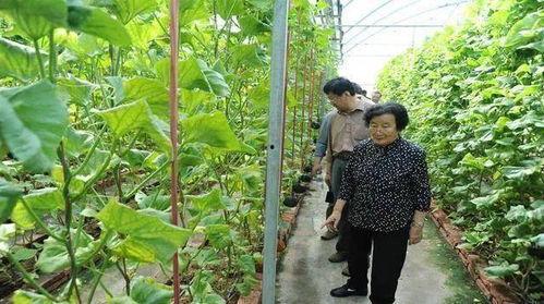 琼海吃瓜最新事件爆料是真的吗,真相揭秘还是无端猜测？