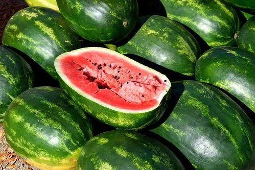 温州今日鲜瓜价,夏季时令美味，价格行情一览