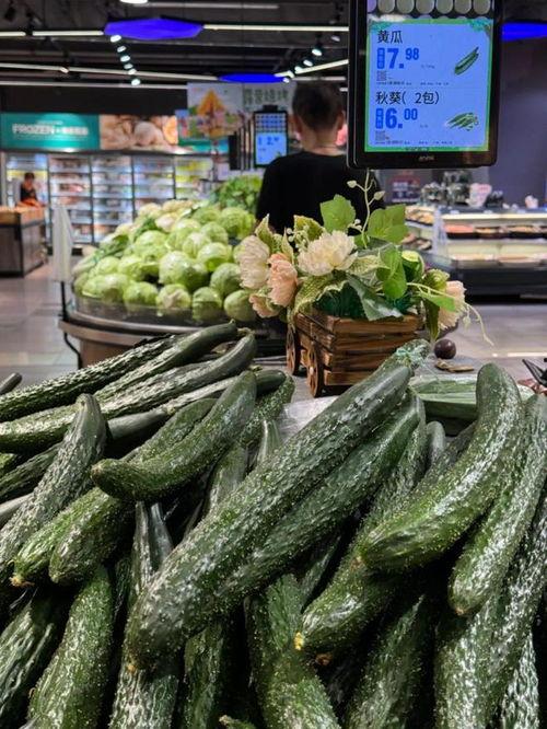 温州今日鲜瓜价,夏季时令美味，价格行情一览