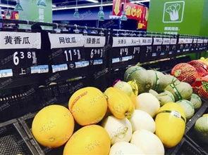 温州今日鲜瓜价,夏季时令美味，价格行情一览