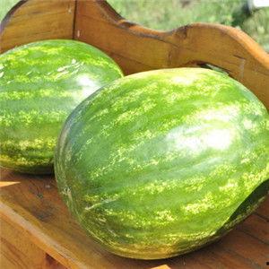 今日份新鲜大瓜