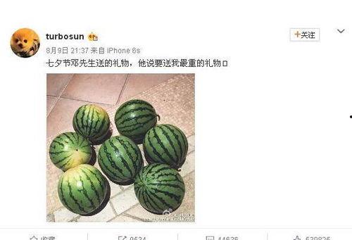 梦见别人送黑瓜给自己吃,揭秘黑瓜赠礼的神秘寓意