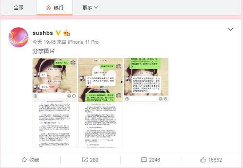 新闻爆料吃瓜视频下载,新闻爆料背后的下载热潮