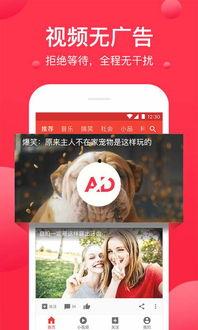 翔霖吃瓜爆料视频下载,揭秘娱乐圈幕后真相