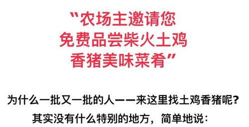 今日文案吃瓜有感怎么写,揭秘娱乐圈幕后故事