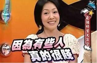 吃瓜有理爆料无罪红领巾刘嘉玲,揭秘娱乐圈的爆料与真相