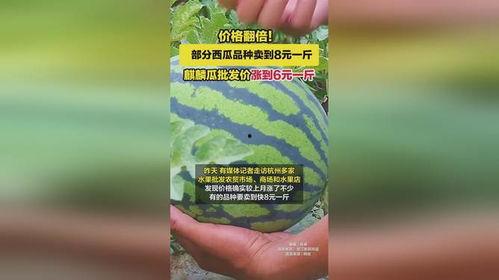麒麟瓜价格今日行情市场价,价格波动解析