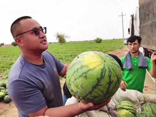 每日大牌吃瓜爆料,大牌明星幕后故事大揭秘