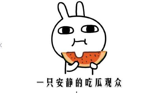 今日热门黑料吃瓜事件,吃瓜群众热议的惊人事件！