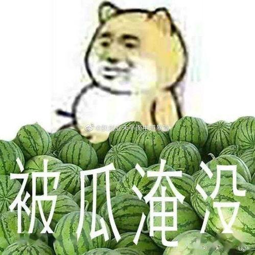 吃瓜就看黑料,黑料背后的真相与反思