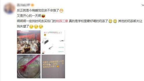 吃瓜爆料第三页,揭秘娱乐圈幕后真相与惊人内幕