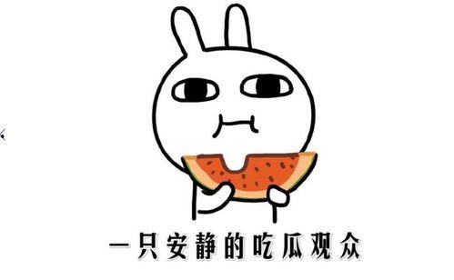 抖音网红黑料吃瓜,吃瓜群众热议背后的真相