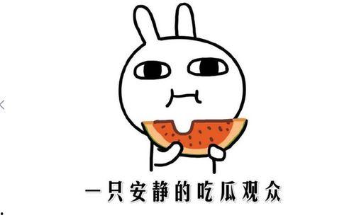 抖音黑料吃瓜免费,免费吃瓜，带你领略网络舆论风云