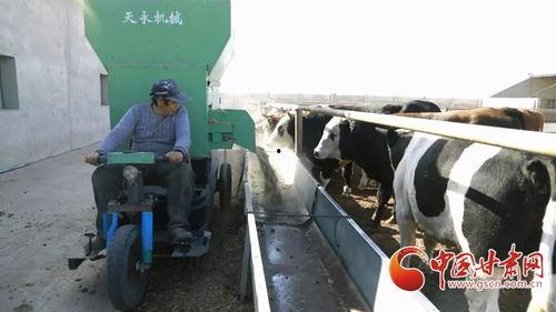 瓜州锁阳城镇今日新闻,聚焦发展新动态，共绘乡村振兴新画卷