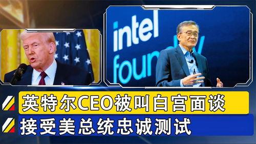 今日头条吃瓜记,揭秘娱乐圈幕后故事