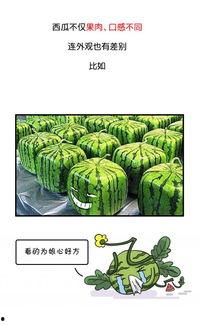 吃瓜群众黑历史,揭秘那些年我们津津乐道的黑历史