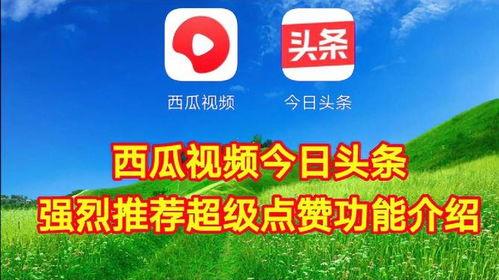 今日头条最新瓜,最新瓜震惊娱乐圈，揭秘幕后真相！