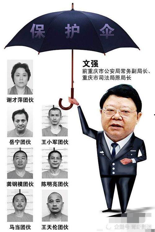 黑料Pro黑料吃瓜明星下载,明星瓜料下载背后的真相