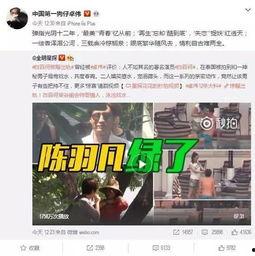 吃瓜事件爆料合集视频下载,揭秘网络热点背后的真相
