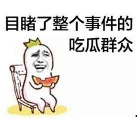 吃瓜群众独家爆料小说,吃瓜群众独家爆料惊世小说