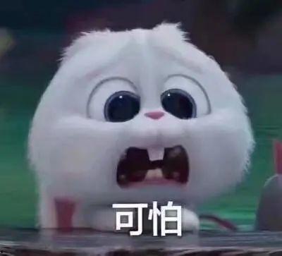 淄博吃瓜爆料事件真相揭秘,真相大白，还原事件全貌