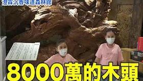 沉香如屑吃瓜大爆料,揭秘幕后大瓜，明星恋情、幕后黑手全曝光！