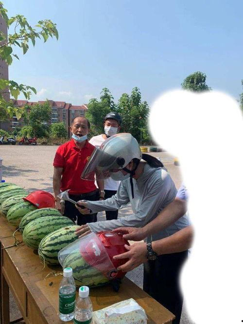 吃瓜最新事件爆料砀山,揭秘吃瓜群众最新热议事件