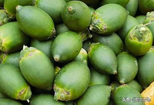 海南2024蒲瓜价格行情今日,市场波动下的最新动态解析”