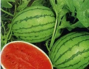 52吃瓜热门爆料地址,独家内幕大公开