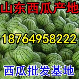 今日瓜价多少钱,新鲜瓜果价格一览