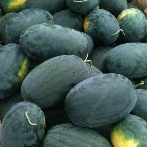 黑料吃黑瓜网违法吗