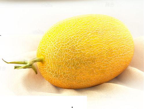 聊城哈密瓜价格今日价,价格行情一览