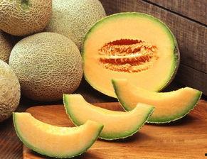 聊城哈密瓜价格今日价,价格行情一览