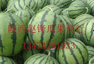 聊城哈密瓜价格今日价,价格行情一览