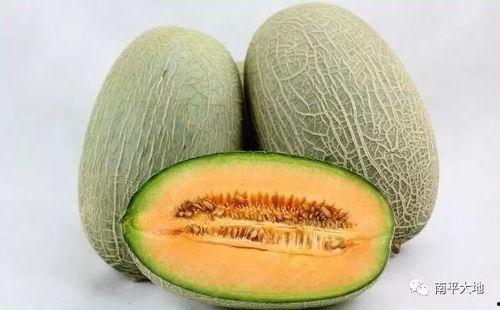 今日24号哈密瓜价格,新鲜上市，价格波动解析”