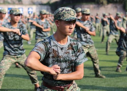 军训吃瓜最新事件爆料,揭秘背后真相与网友热议