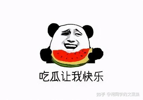 吃瓜正能量爆料是真的吗,真相揭秘，还是无稽之谈？