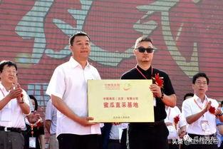 瓜州双塔镇今日新闻,聚焦乡村振兴，共绘美好家园新画卷