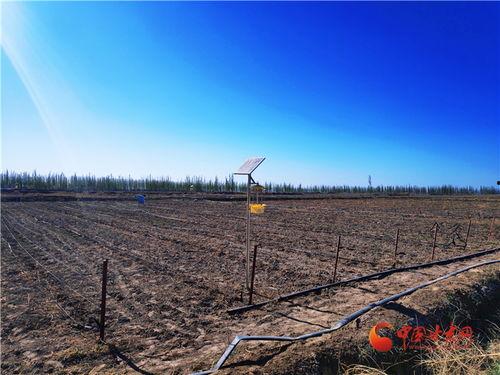 瓜州双塔镇今日新闻,聚焦乡村振兴，共绘美好家园新画卷