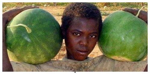 非洲黑吃瓜图片大全,黑吃瓜图片大全背后的文化解读