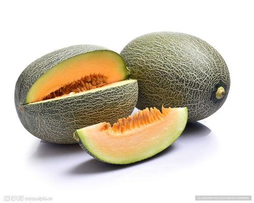地里哈密瓜图片今日头条,哈密瓜丰收季，地里的甜蜜画卷