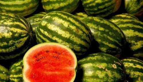 在哪吃黑瓜,揭秘“在哪吃黑瓜”的独特风味