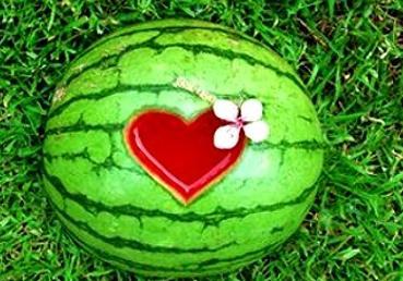 梦到和别人一起吃黑瓜仔,共享黑瓜仔的神秘食缘