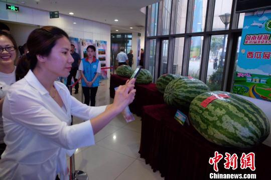 莱州今日吃瓜爆料新闻