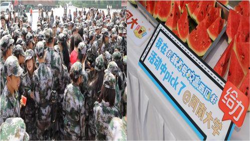 河南今日吃瓜学生校园,学生生活新风尚揭秘