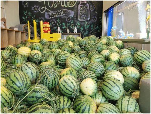 ccggct今日吃瓜51,ccggct独家揭秘51吃瓜大事件